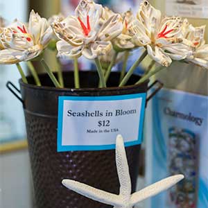 hand made sea shell flowers